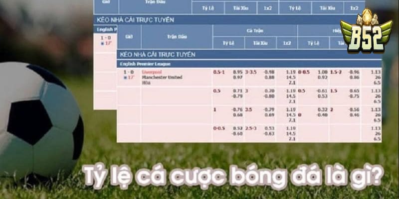 Phương pháp đọc tỷ lệ ăn cá độ bóng đá