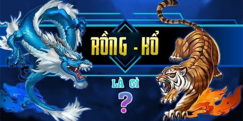 Tổng quan đôi nét tựa game rồng hổ